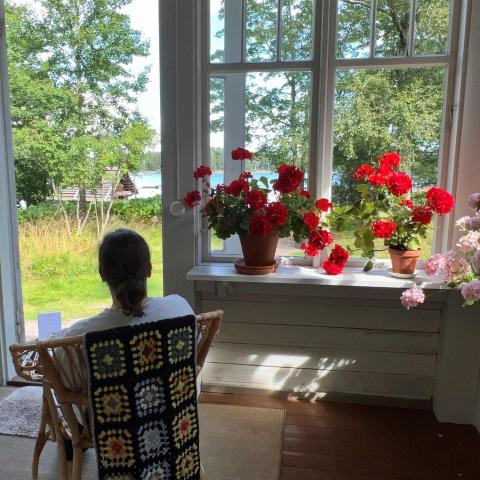 Utsikt från Pentala.
