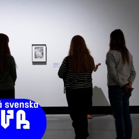 Guidning på Malva museet
